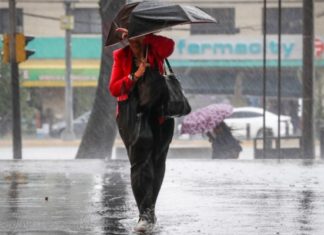 Lluvias torrenciales de la tormenta “Iselle” no llegarán a Tamaulipas