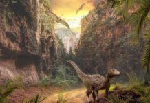 Google permite a usuarios ver animales prehistóricos mediante realidad