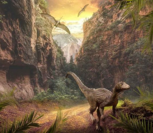 Google permite a usuarios ver animales prehistóricos mediante realidad