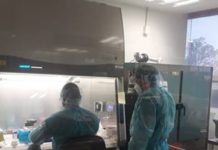Diagnostican 53 nuevos casos de COVID-19 en Tamaulipas, pide SST no relajar medidas preventivas