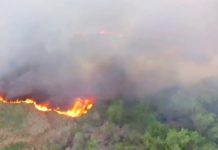 Bomberos acuden a incendio
