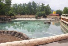 Zoológico Tamatán, Centro Interpretativo Ecológico (CIE) y Camino Real a Tula iniciarán apertura gradual