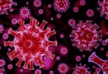 Alerta médico de probable combinación dengue-COVID; pero no hay casos registrados