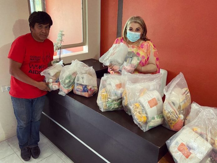 Diputada apoya 09042020