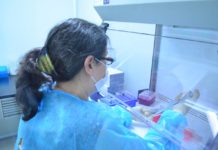 Suma Tamaulipas 178 nuevos casos de COVID-19, el riesgo de contagio es alto: SST