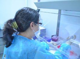 Suma Tamaulipas 178 nuevos casos de COVID-19, el riesgo de contagio es alto: SST