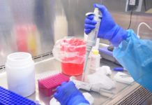 Reporta SST 220 nuevos casos de COVID-19 y pide respetar medidas de protección sanitaria