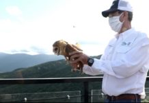 Liberan aves en reserva