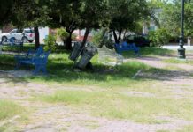 Plazas urgen limpieza