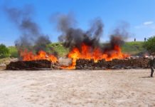 SEDENA incinera enervante asegurado en Tamaulipas