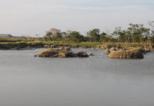 Urge atender contaminación ambiental