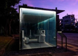 ¿Estilo o sinvergüenza? Tokio prueba baños públicos transparentes