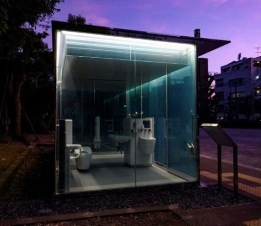 ¿Estilo o sinvergüenza? Tokio prueba baños públicos transparentes