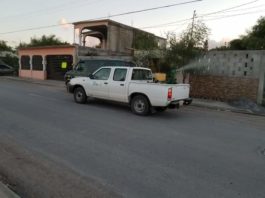 Confirman 34 casos de dengue en Matamoros