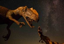 Un mapa te dice qué dinosaurios existieron en el lugar en el que vives