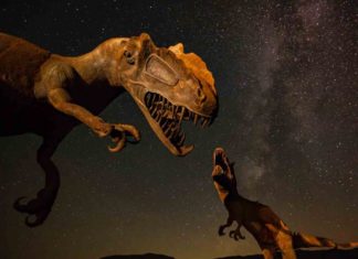 Un mapa te dice qué dinosaurios existieron en el lugar en el que vives