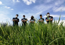 Estudiantes de la UTNL se van a Francia a estudiar