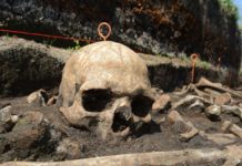 Un estudio de huesos antiguos revela que la tolerancia a la lactosa se extendió en Europa gracias a una mutación genética