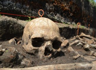 Un estudio de huesos antiguos revela que la tolerancia a la lactosa se extendió en Europa gracias a una mutación genética