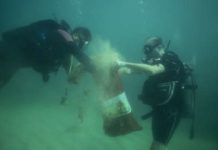 Calculan que hay 14 millones de toneladas de microplásticos en el fondo marino