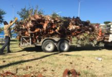 En Reynosa el trabajo no para