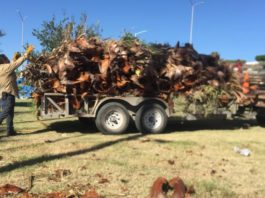 En Reynosa el trabajo no para