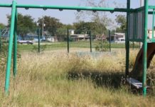 Abandono y maleza invaden plaza