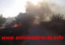 Bomberos sofocan fuego en predio
