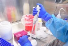 Exhorta SST a extremar medidas preventivas contra COVID-19 e influenza