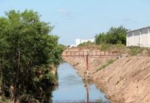 Limpieza y desmonte en drenes