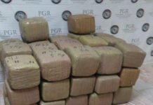 Policía Estatal llevó a cabo el aseguramiento de aproximadamente 235 kilogramos de hierba