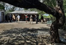 Policía Estatal rescató a 13 migrantes