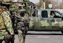 SEDENA informa aseguramientos y detenciones