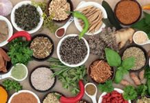 ¿Nutres o enfermas a tus hijos?