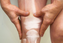 Científicos hacen crecer un nuevo cartílago articular usando campo magnético e hidrogeles