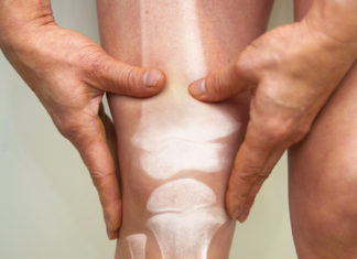 Científicos hacen crecer un nuevo cartílago articular usando campo magnético e hidrogeles