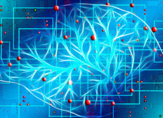 Identifican la posible ubicación física de la conciencia (y no se encuentra en el cerebro)
