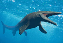 Identifican una nueva especie de megadepredador del Cretácico que tenía el hocico “extremadamente largo”