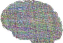 ¿Qué es la salud mental? Conoce su importancia y cómo cuidarla