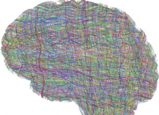 ¿Qué es la salud mental? Conoce su importancia y cómo cuidarla