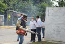 Intensifican esfuerzos Gobierno de Altamira y Secretaría de Salud para evitar proliferación de mosquitos