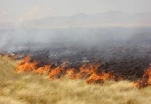 Bomberos sofocan incendio en pastizal