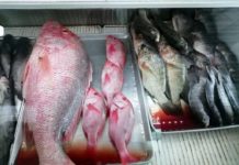 Consumo de pescado fuente de Omega 3