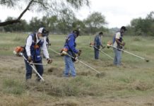 Sociedad civil se sumó a los trabajos de limpieza y desmonte del gobierno de Tamaulipas en el parque cultural