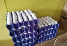 Aumenta precio del Huevo en Matamoros