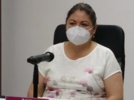 Invitan a ciudadanos a participar como observadores electorales en próximas elecciones