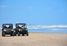 Incrementa playa Miramar su afluencia, resguardando la salud de sus visitantes