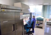 Cierra jornada dominical con 147 nuevos contagios de COVID-19, insiste Salud en evitar fiestas