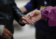 Confirman el vínculo entre la enfermedad de Alzheimer y ciertas bacterias intestinales