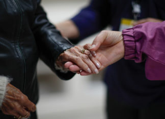 Confirman el vínculo entre la enfermedad de Alzheimer y ciertas bacterias intestinales